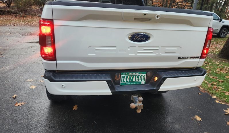 
								2023 FORD F-150 BLACK WIDOW 4X4 LEATHER full									