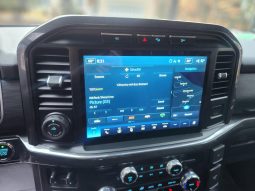 
										2023 FORD F-150 BLACK WIDOW 4X4 LEATHER full									