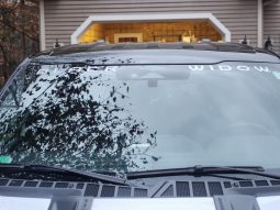 
										2023 FORD F-150 BLACK WIDOW 4X4 LEATHER full									